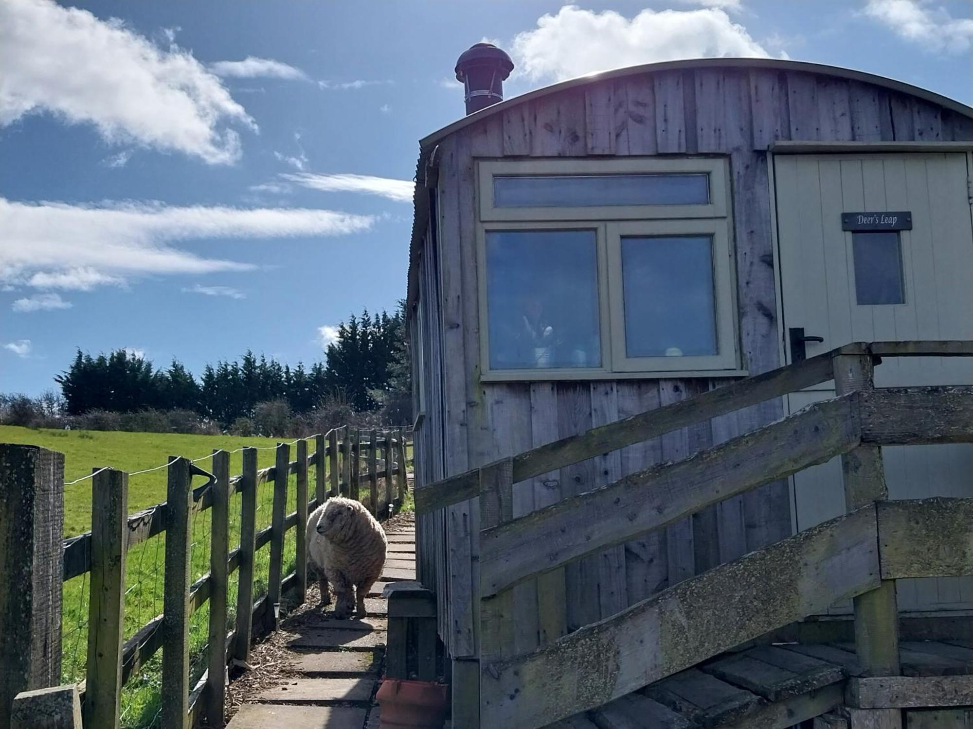 Meadowbeck - Shepherd Huts Fylingdales Eksteriør bilde