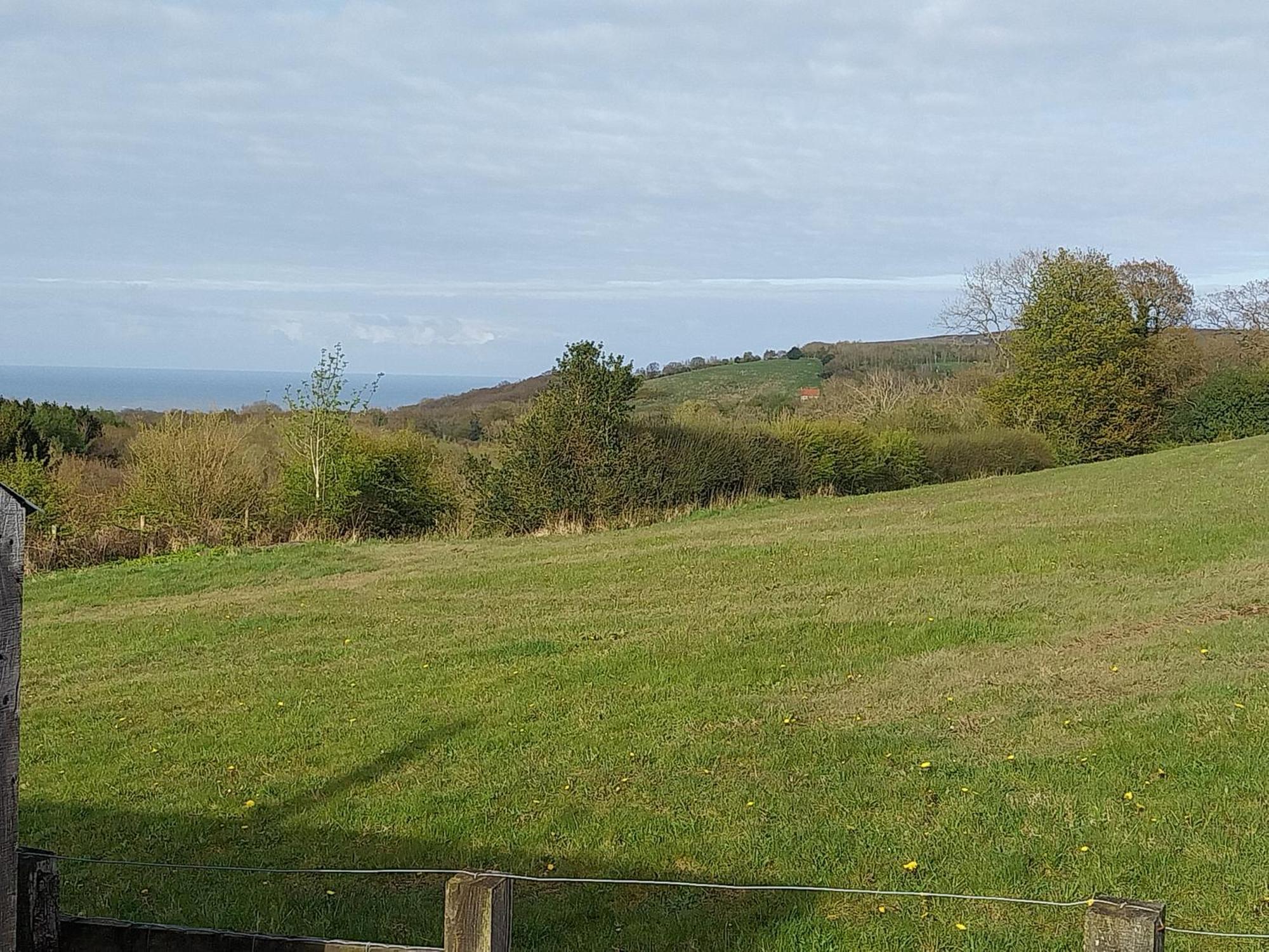 Meadowbeck - Shepherd Huts Fylingdales Eksteriør bilde