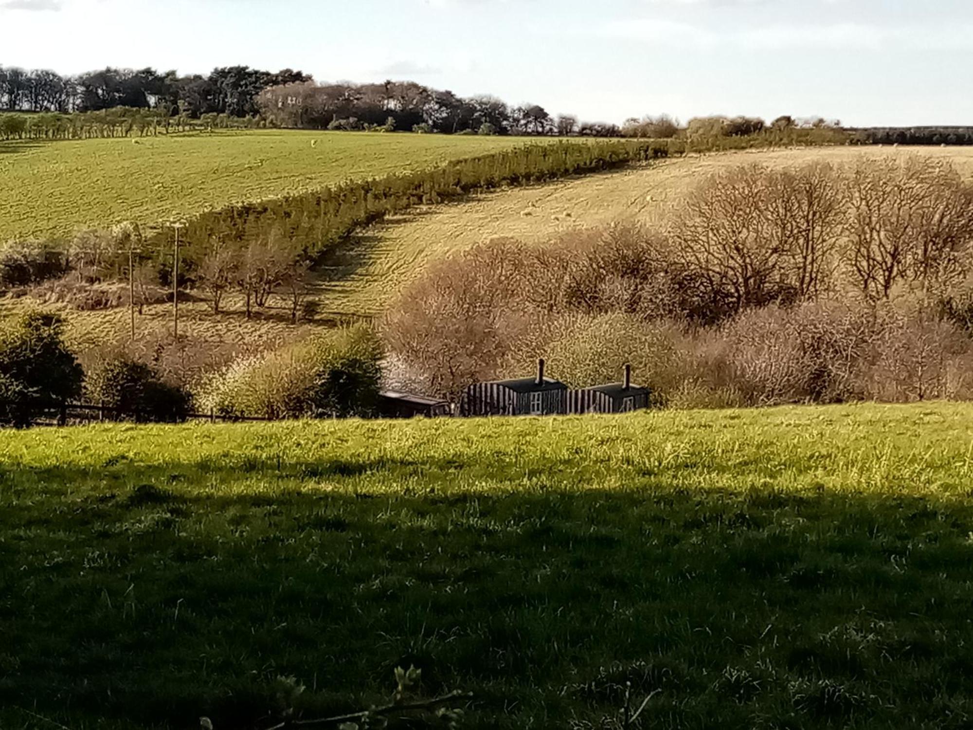 Meadowbeck - Shepherd Huts Fylingdales Eksteriør bilde
