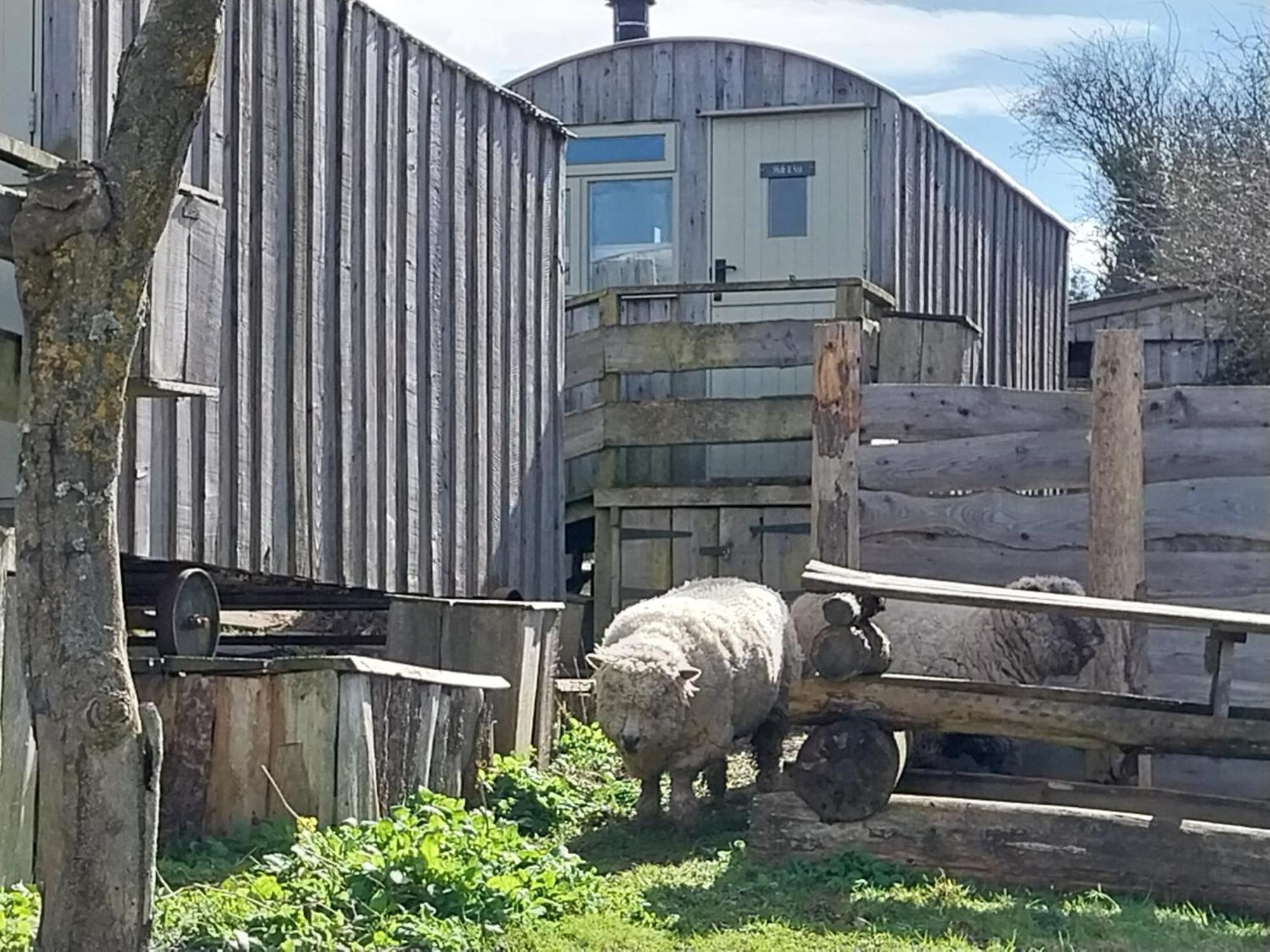 Meadowbeck - Shepherd Huts Fylingdales Eksteriør bilde