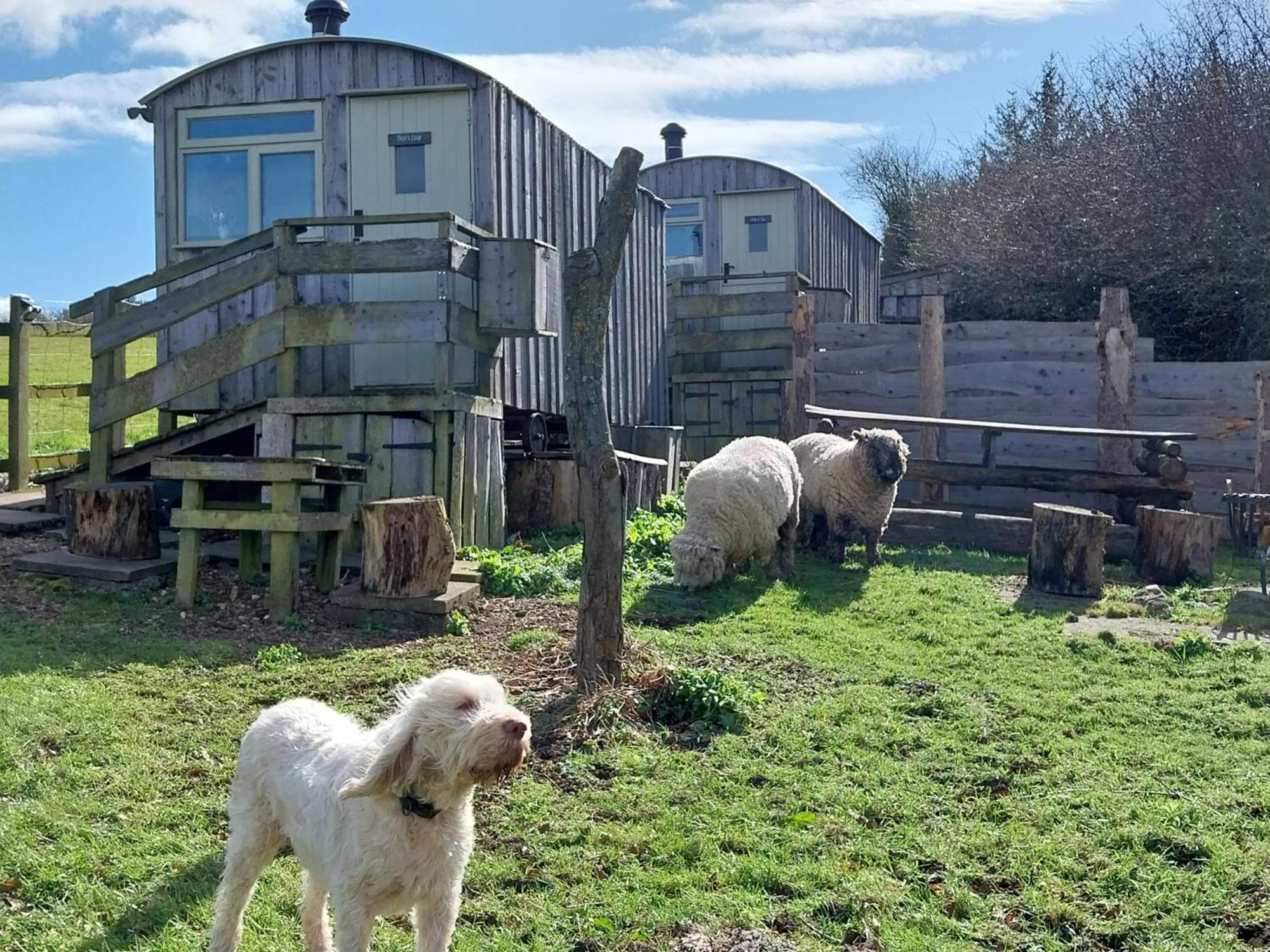 Meadowbeck - Shepherd Huts Fylingdales Eksteriør bilde