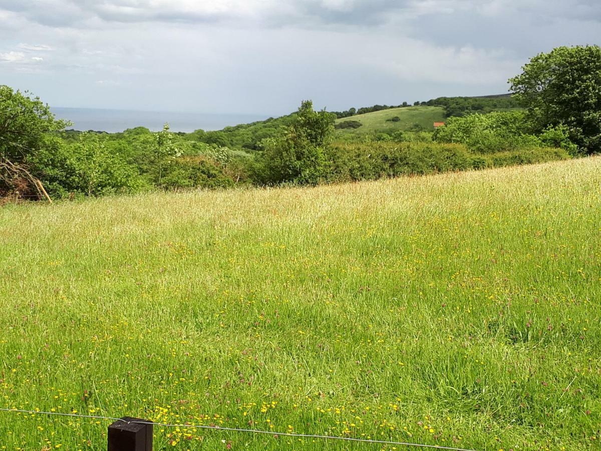 Meadowbeck - Shepherd Huts Fylingdales Eksteriør bilde